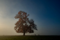 DSC_3612-Edit