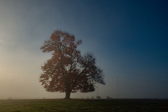 DSC_3612-Edit