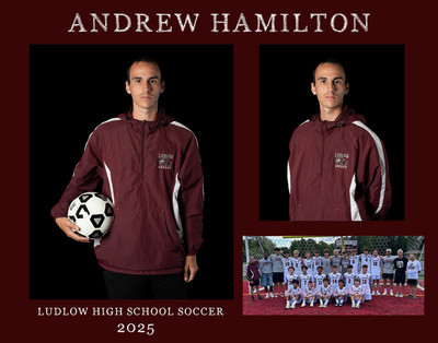 andrew hamilton