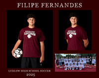 filipe fernandes