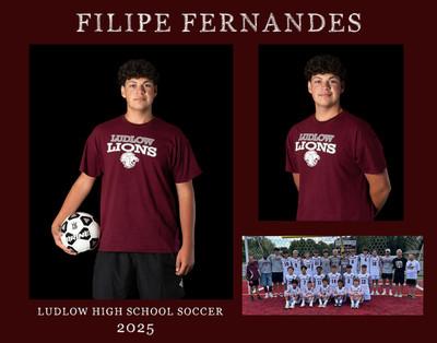 filipe fernandes