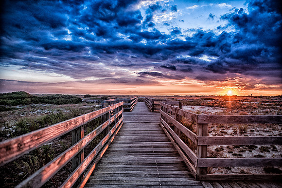 DSC_9982_1