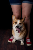 DSC_6584-Edit