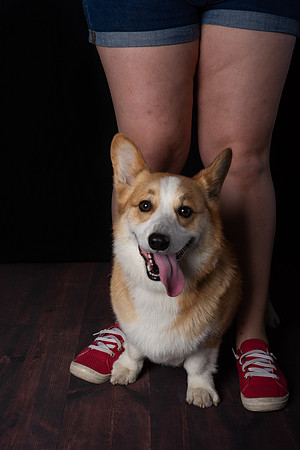 DSC_6584-Edit