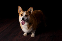DSC_6604-Edit