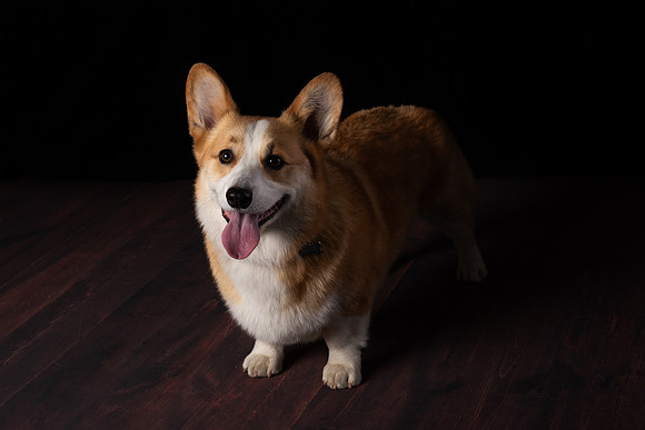 DSC_6604-Edit
