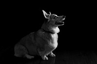 DSC_6654-Edit+BW
