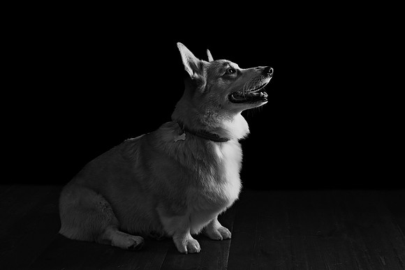 DSC_6654-Edit+BW