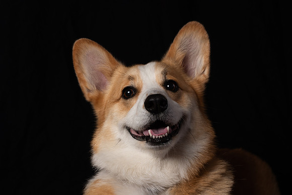 DSC_6576-Edit