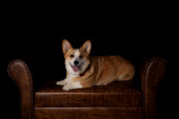 DSC_6609-Edit