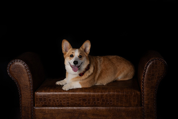 DSC_6609-Edit