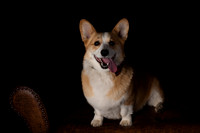 DSC_6607-Edit