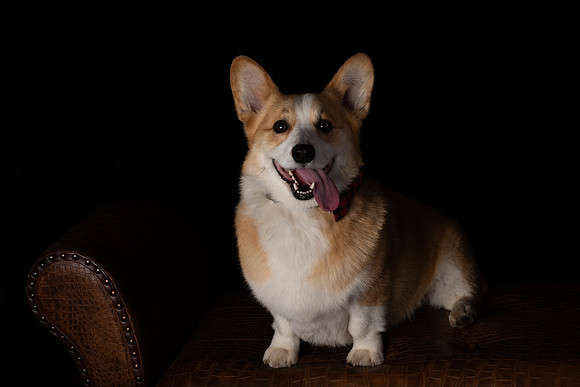 DSC_6607-Edit
