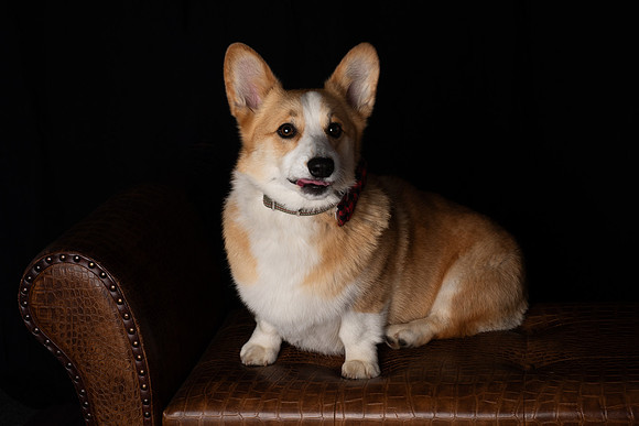 DSC_6605
